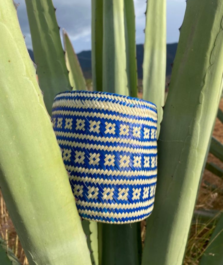 Tenate De Palma