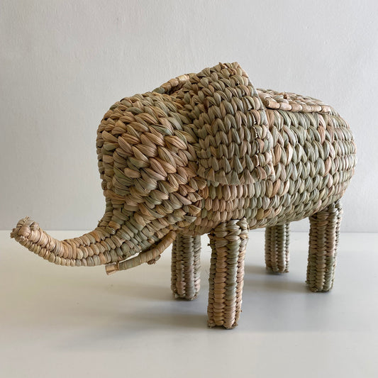 Elefante de Chuspata