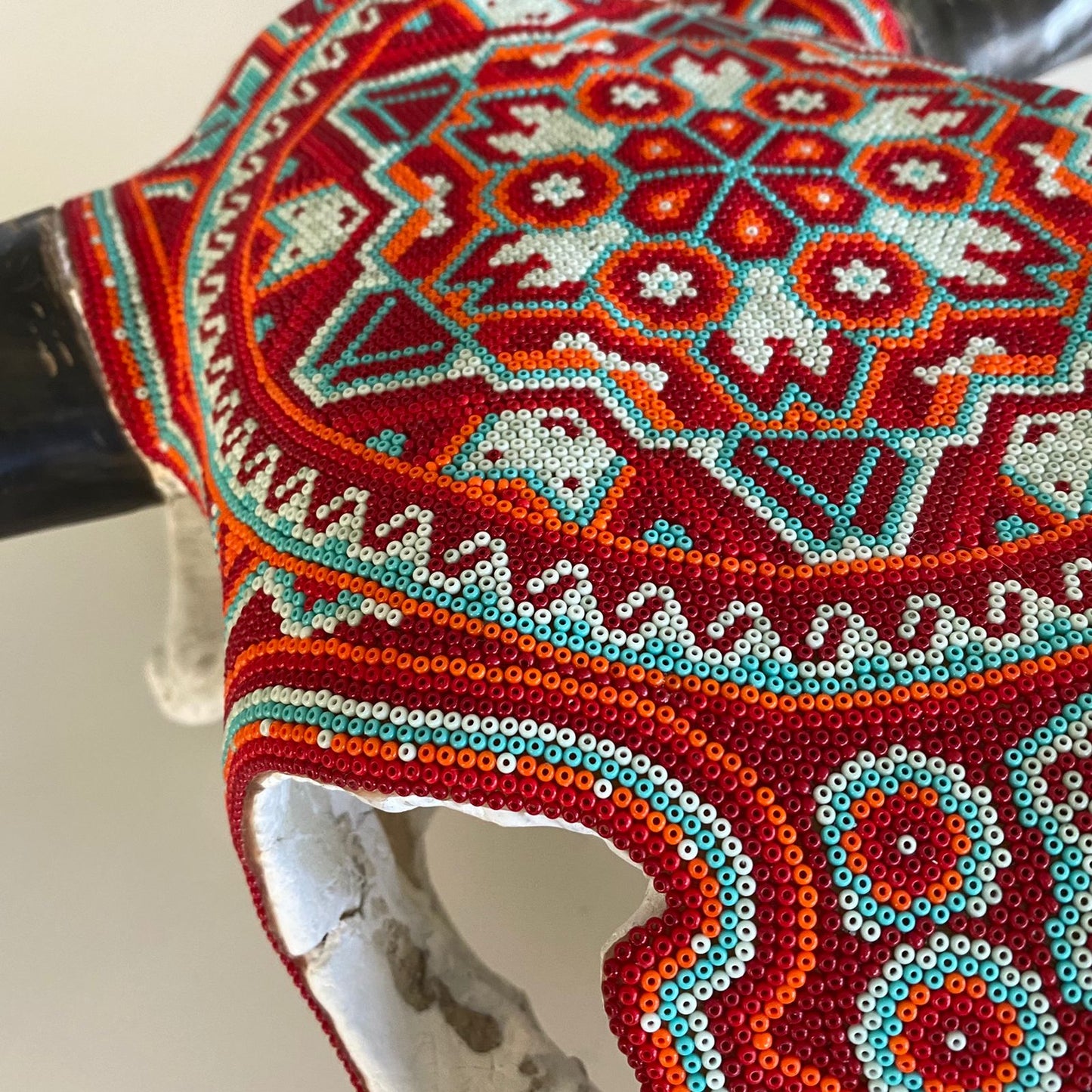 Cabeza de Vaca  Natural con Arte Huichol