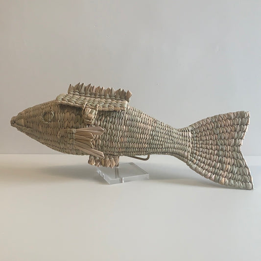 Pez de Chuspata